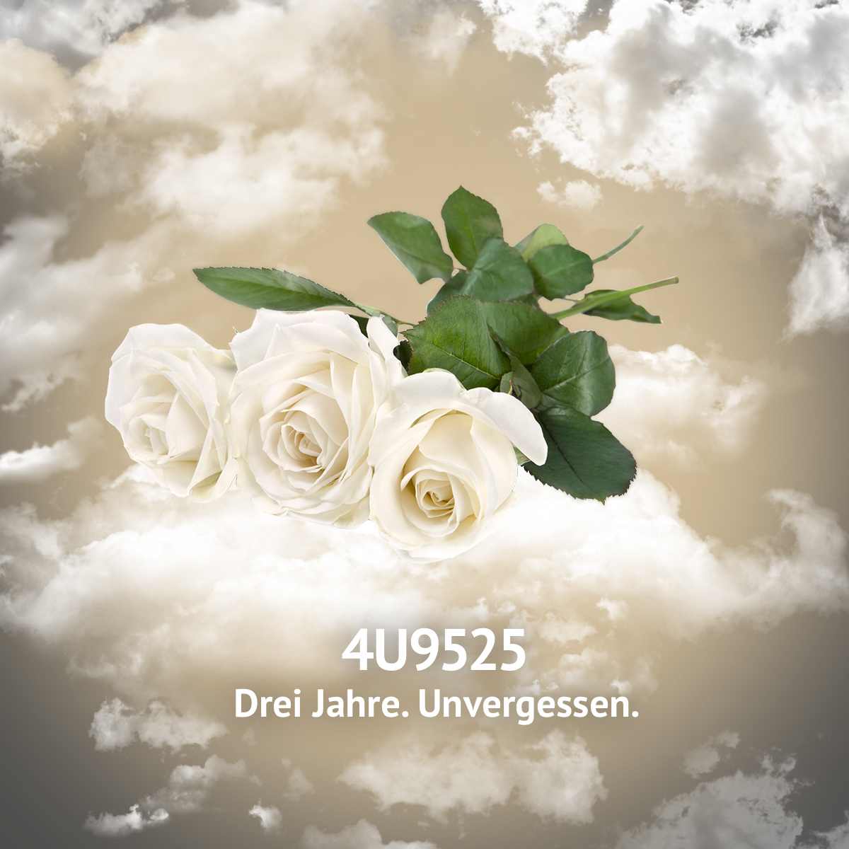 Titelbild
